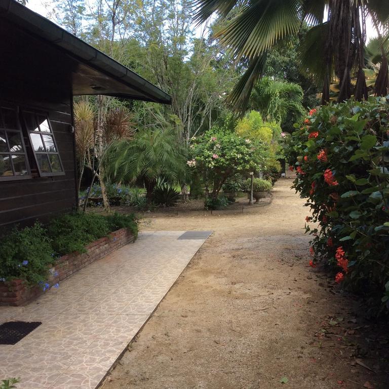 Villa Bamboe Meerzorg Esterno foto